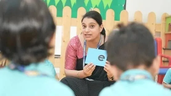 Expert teachers